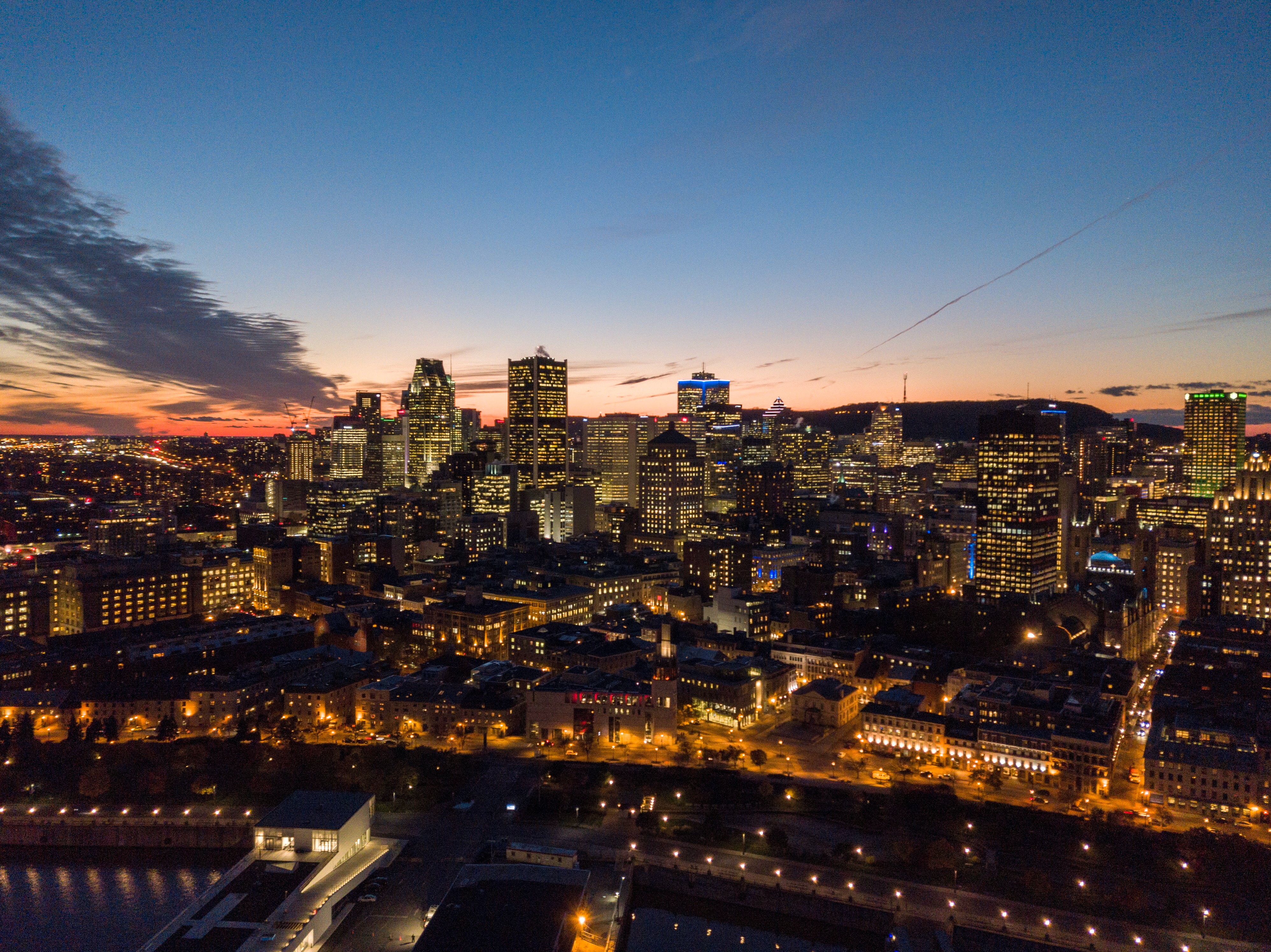 buy magic mushrooms in montreal city