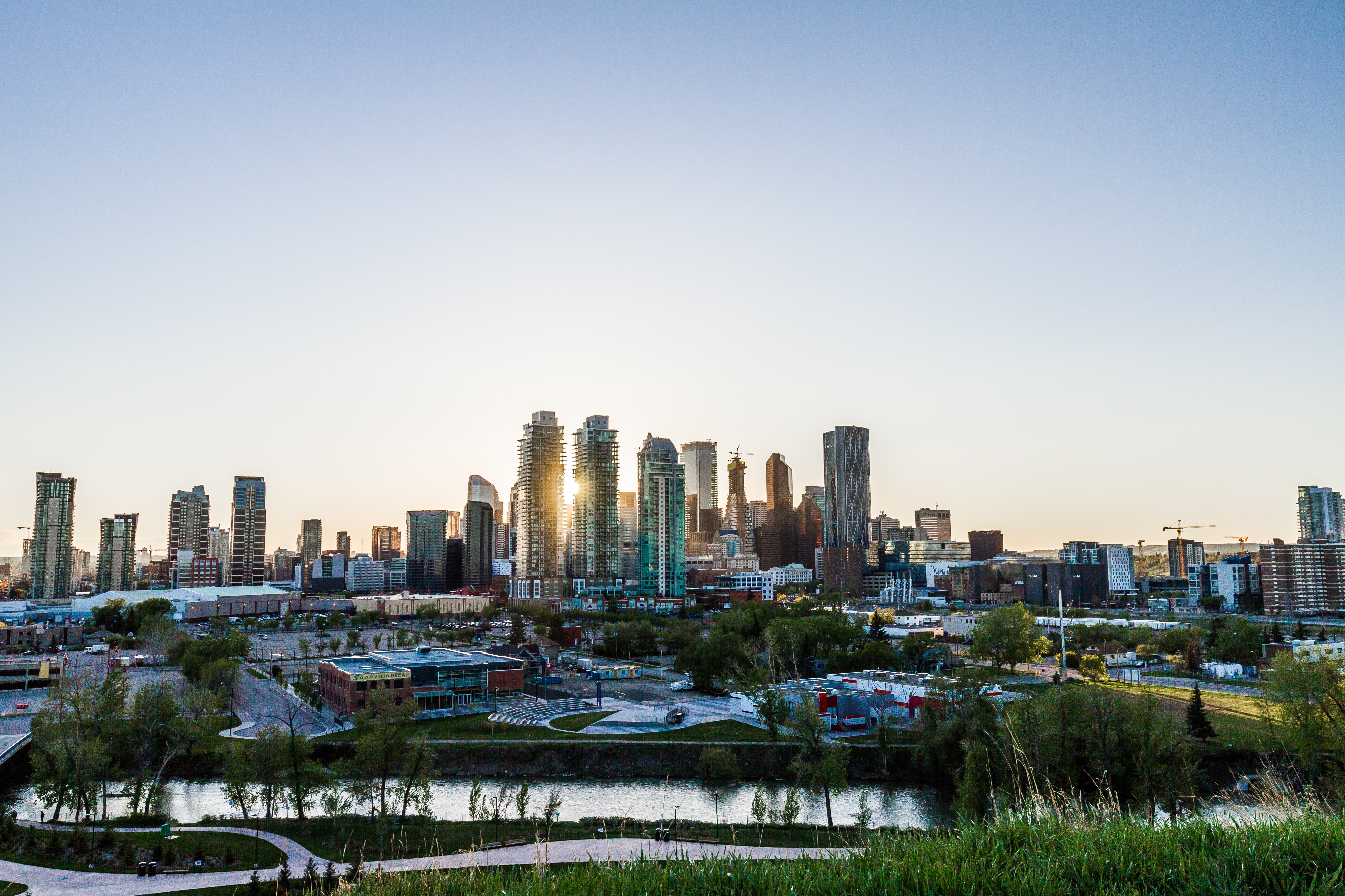 Magic Mushrooms Calgary