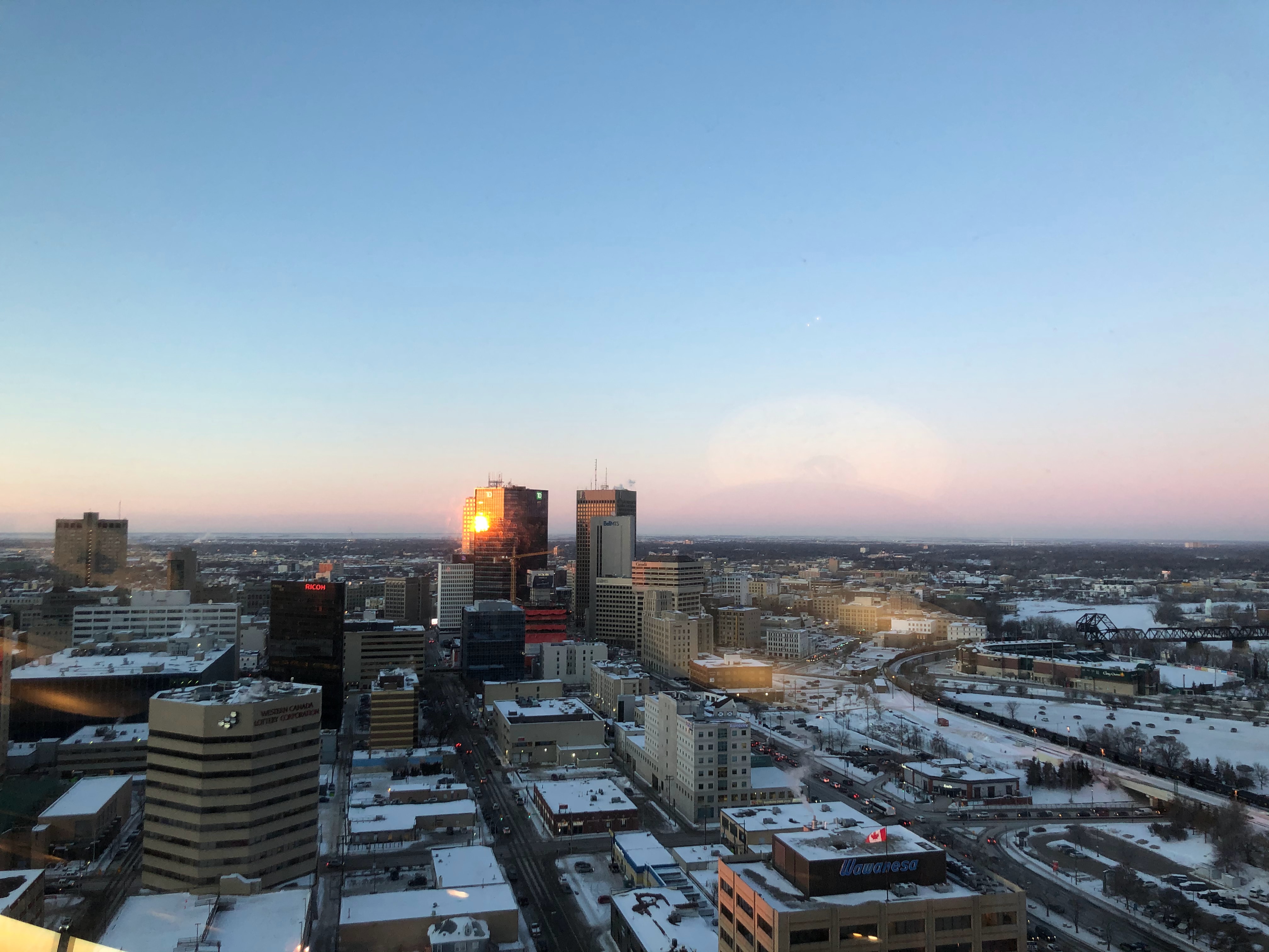 online mushroom store in winnipeg